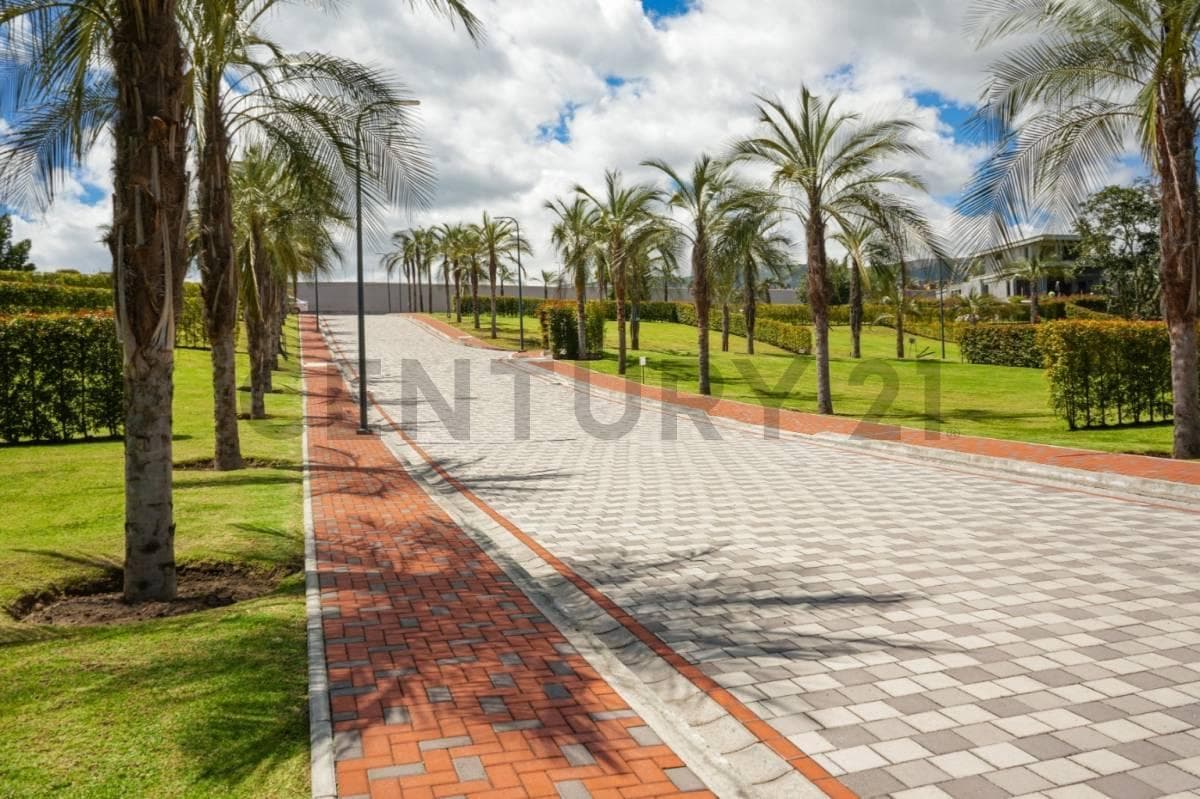 Terreno 545 m² Dentro de Urbanización. Sector Puembo — imagen 4