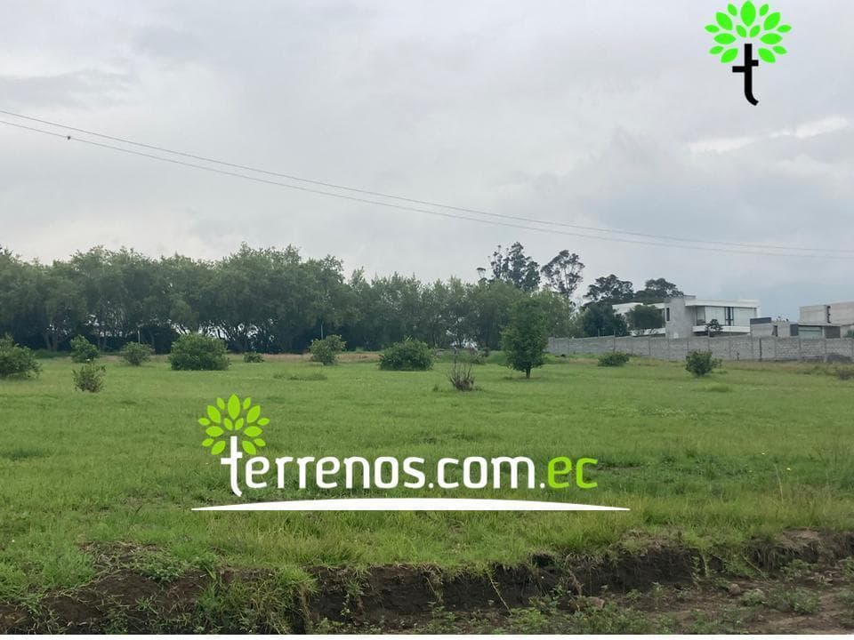 Terreno Unifamiliar en Venta, 2577,44 m². Tumbaco - Plaza Hilacril — imagen 7