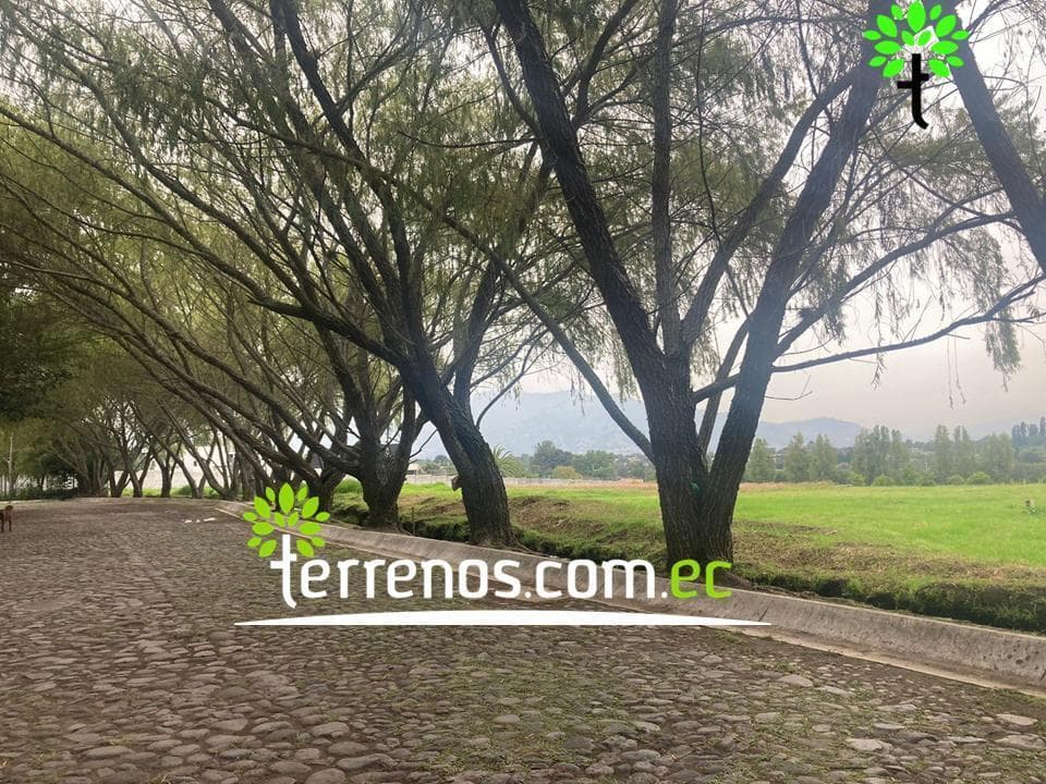 Terreno Unifamiliar en Venta, 2577,44 m². Tumbaco - Plaza Hilacril — imagen 4