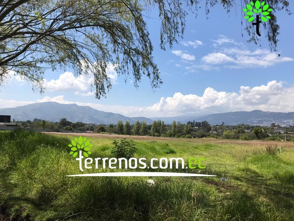 Terreno Unifamiliar en Venta, 2577,44 m². Tumbaco - Plaza Hilacril — imagen 3