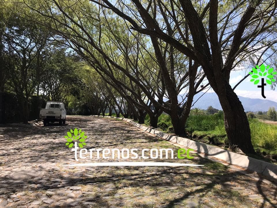 Terreno Unifamiliar en Venta, 2577,44 m². Tumbaco - Plaza Hilacril — imagen 2