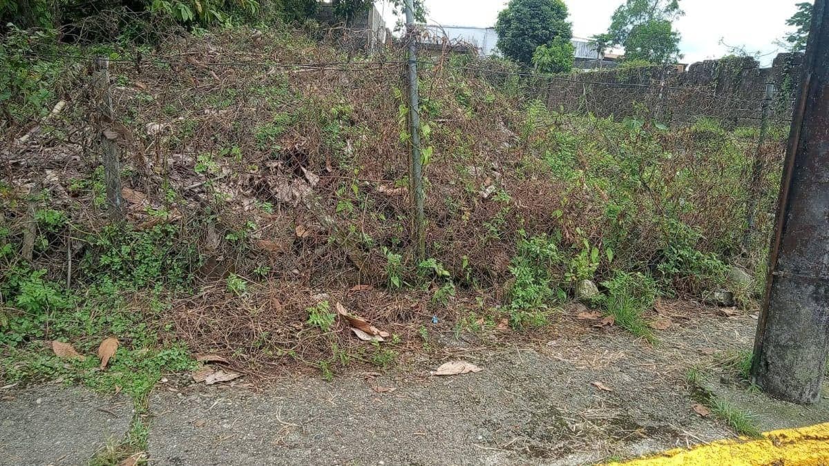 Se Vende Terreno Comercial Sector Parque Morete Puyo Pastaza, Pastaza — imagen 6
