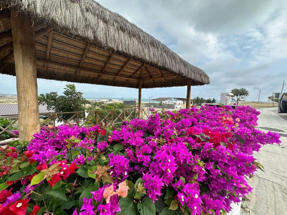 Terrenos en Venta – Urbanización Vistalmar Punta Carnero — imagen 3