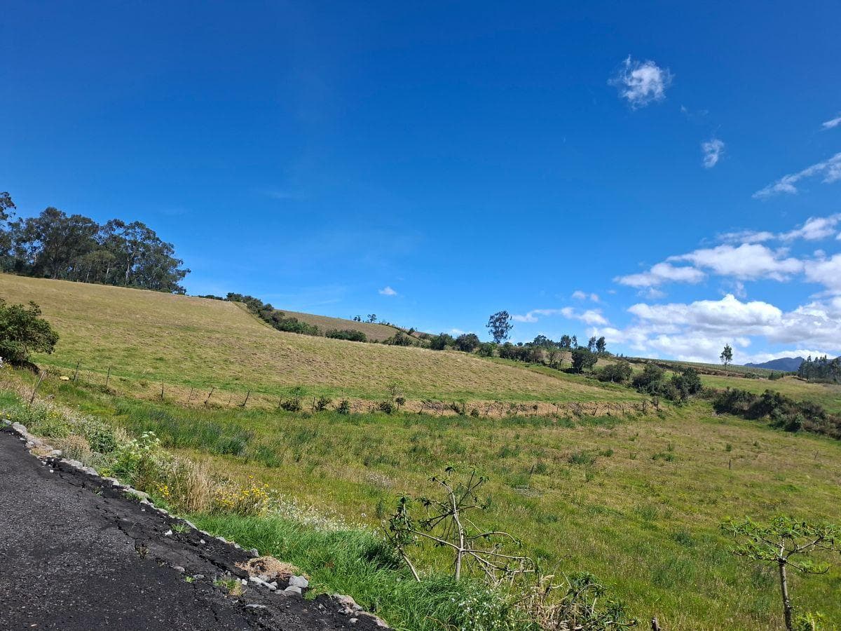Oportunidad en Alóag! 5.23 Ha con Agua Potable, Tierra Fértil y Financiamiento — imagen 6