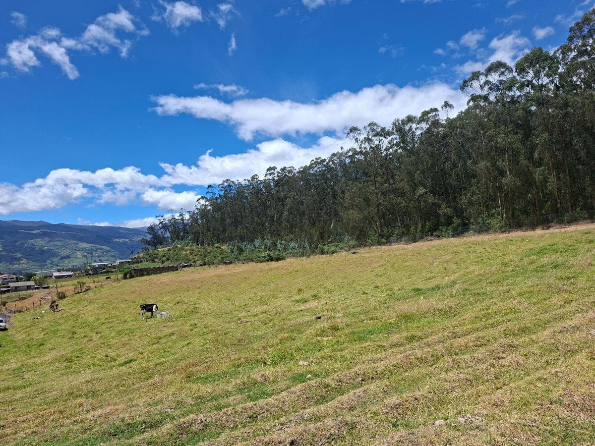 Oportunidad en Alóag! 5.23 Ha con Agua Potable, Tierra Fértil y Financiamiento — imagen 5