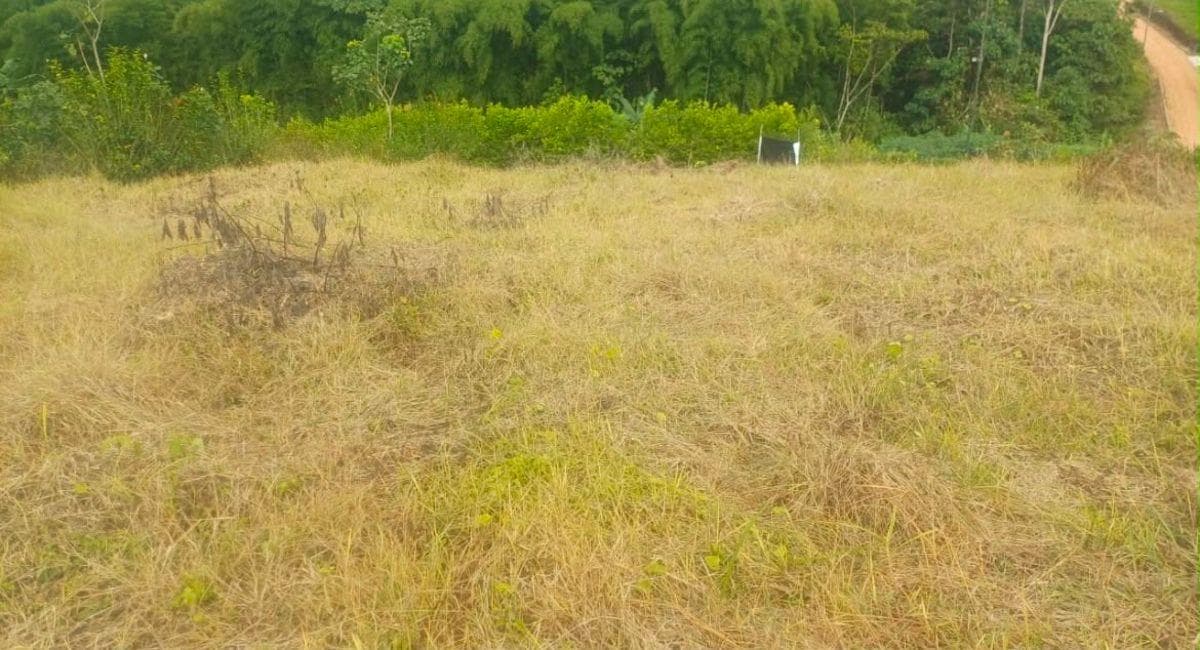 Terreno en Urbanización — imagen 10