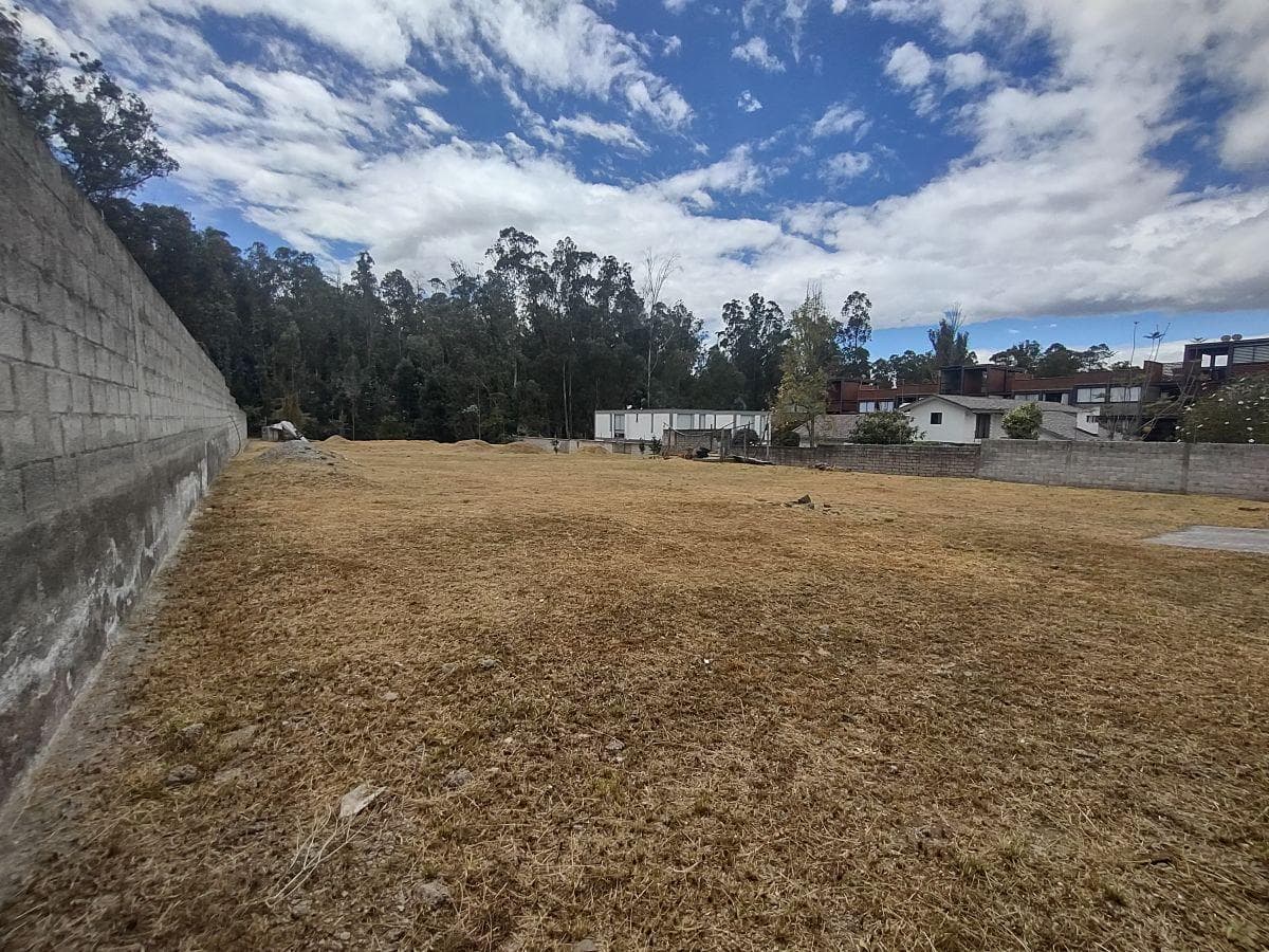 Terreno en Venta 2.231 m², Cerramiento y Servicios Básicos Instalados, Conocoto, Valle de Los Chillos — imagen 4