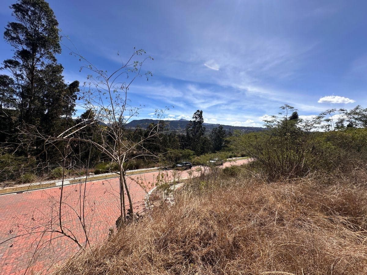 Terreno de 1.000 m² en Urbanización Rumikuna – Tumbaco | Vista Privilegiada — imagen 10