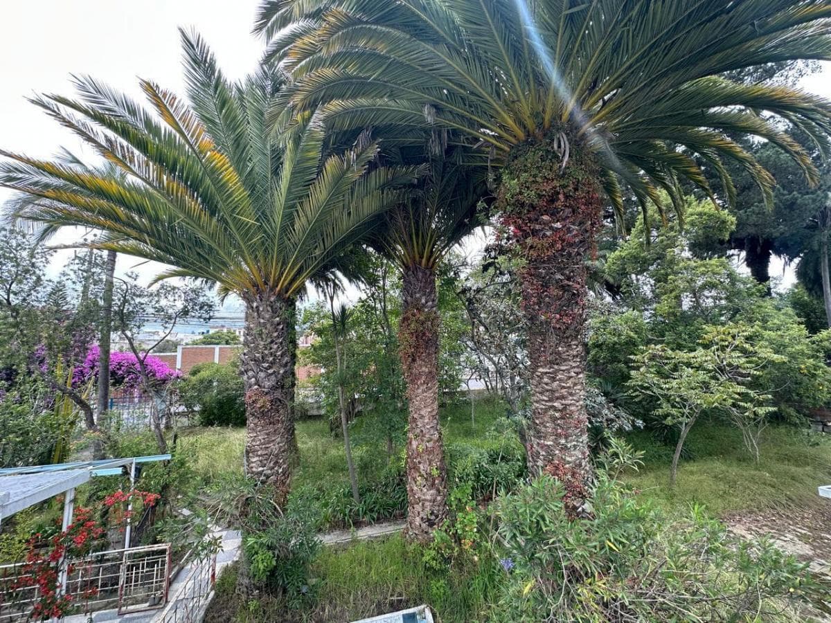 Terreno en Calderón — imagen 7
