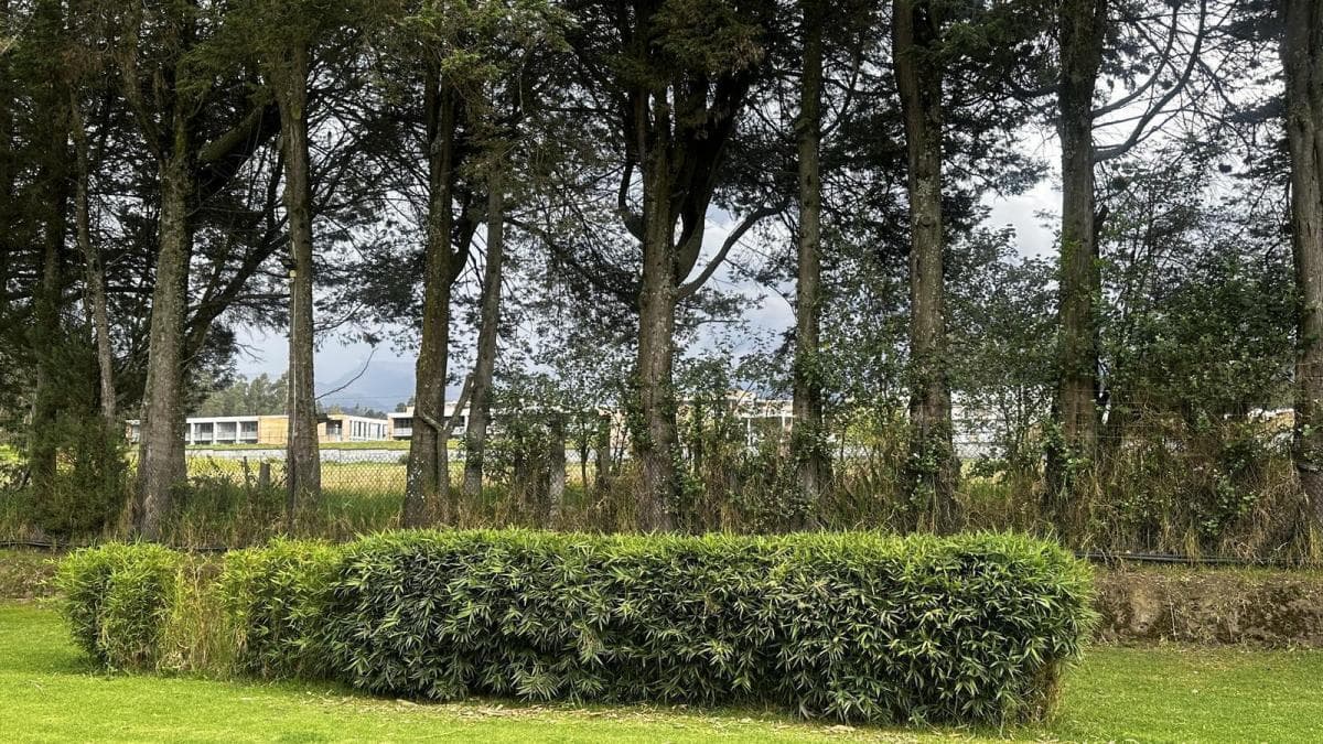 Terreno en Puembo Sector Colegio Aleman — imagen 5