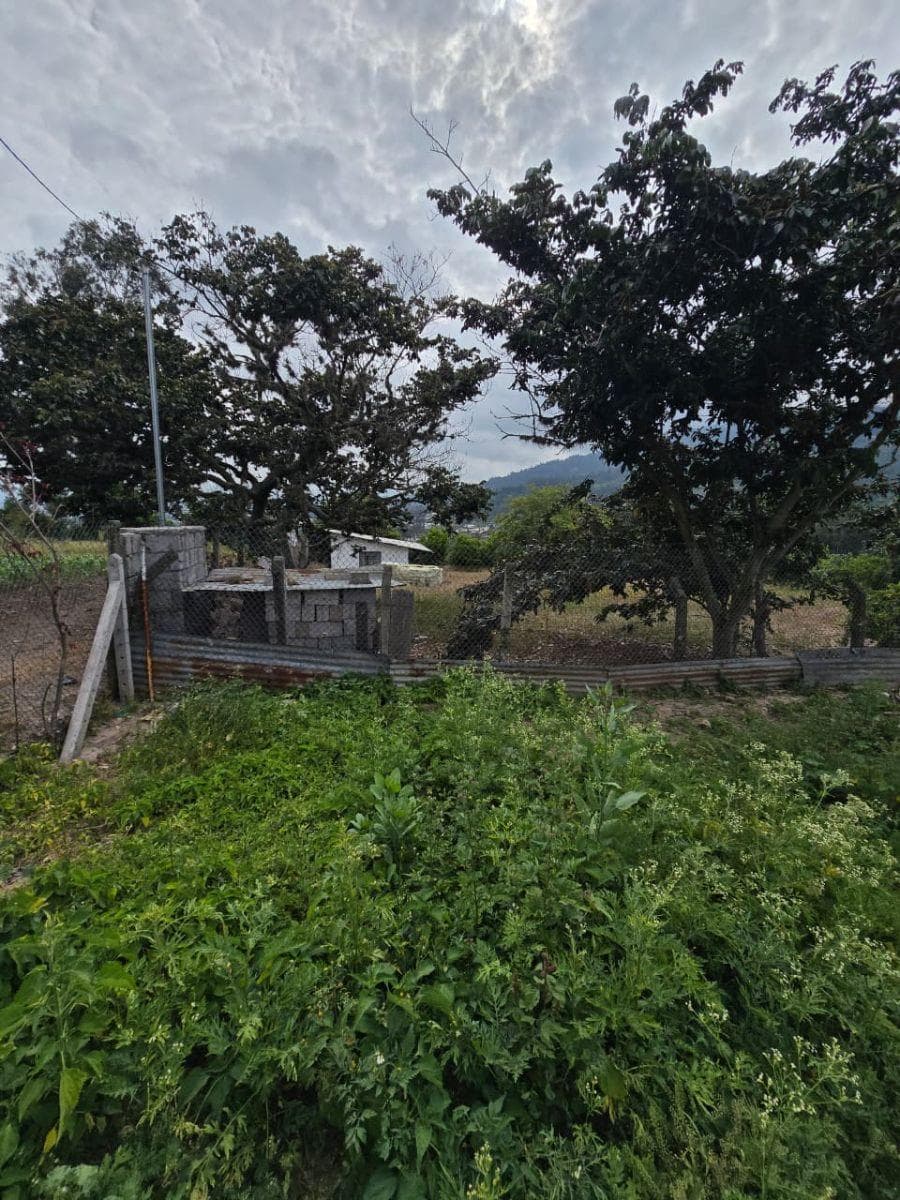 Terreno de 500 m² en Venta en Cumbayá con Fácil Acceso. Provincia de Pichincha — imagen 10