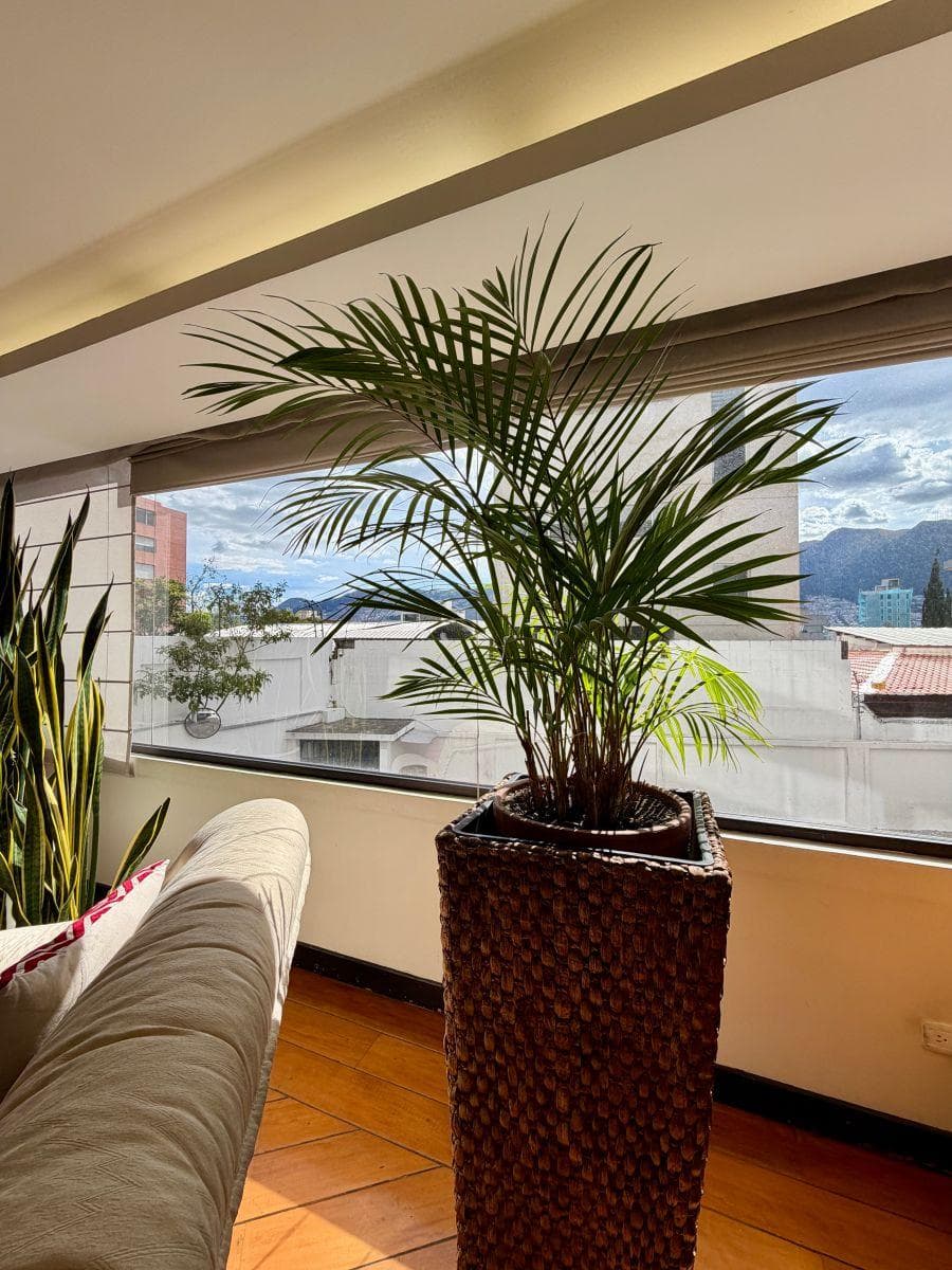 Departamento de 3 Habitaciones - en Venta - González Suárez - 315 m² — imagen 5