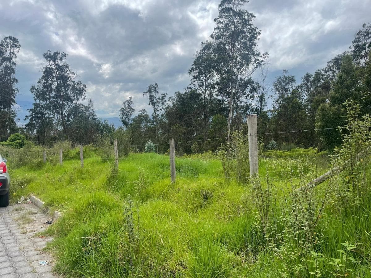 Venta Terreno de 6.523 m² en Nayón — imagen 1