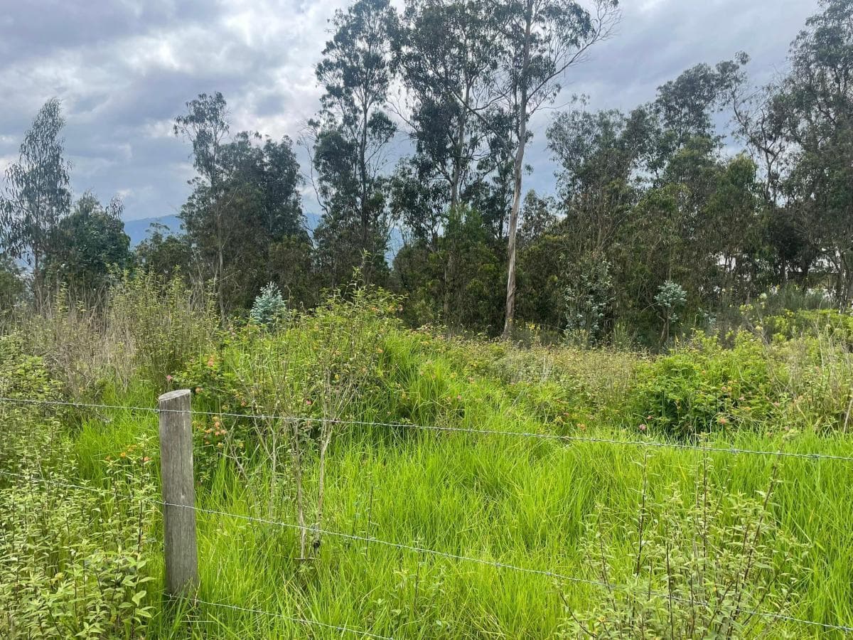Venta Terreno de 6.523 m² en Nayón — imagen 10