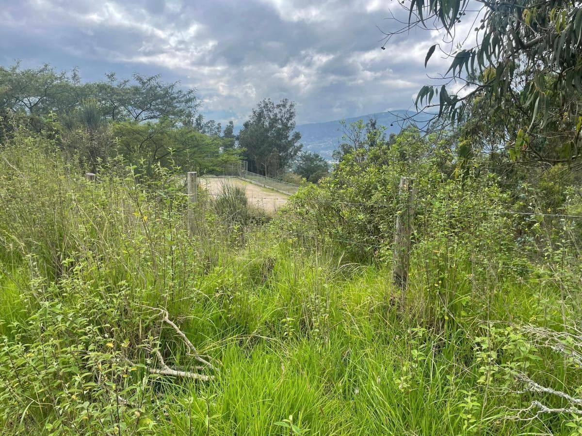 Venta Terreno de 6.523 m² en Nayón — imagen 8