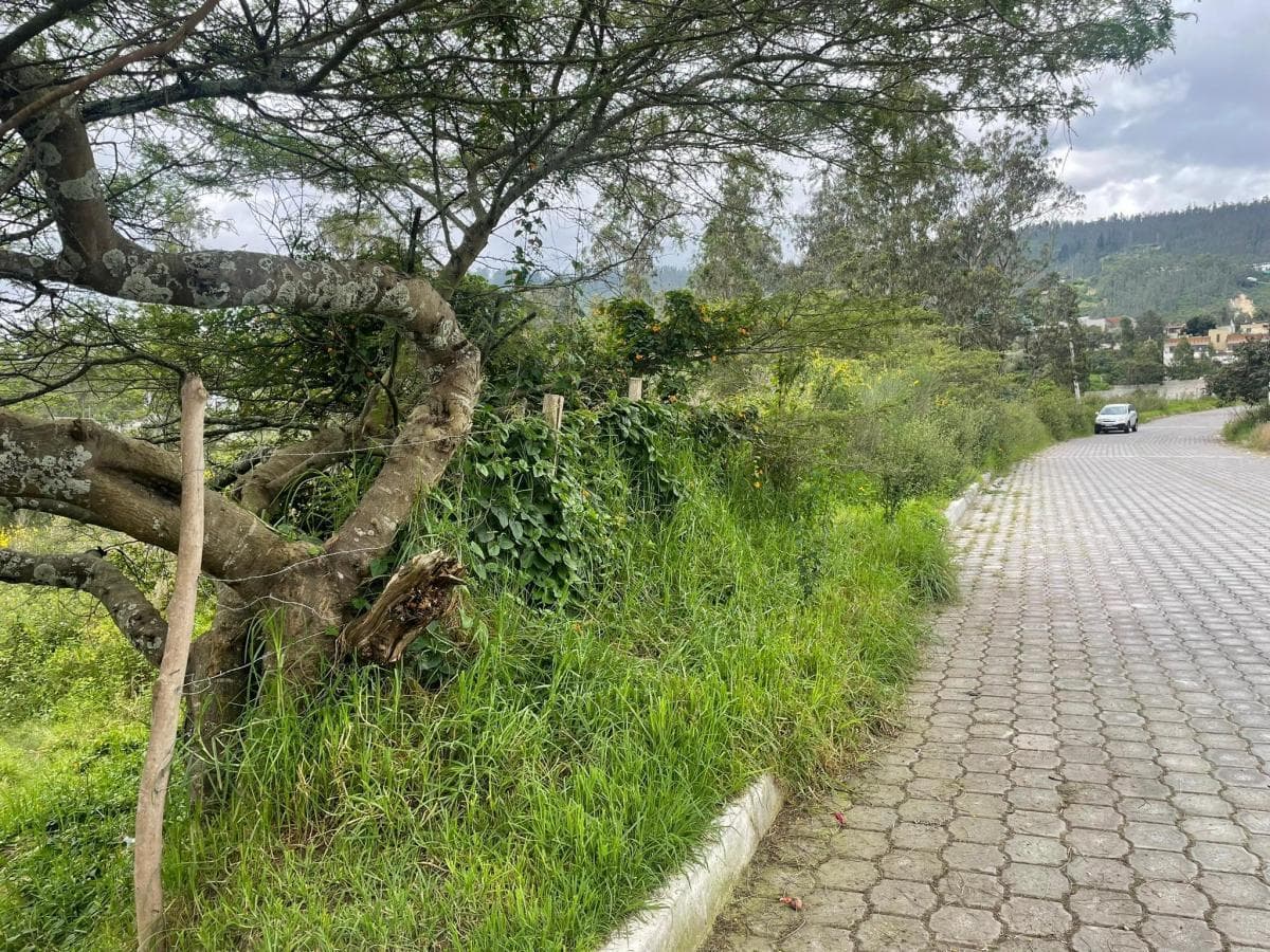 Venta Terreno de 6.523 m² en Nayón — imagen 5