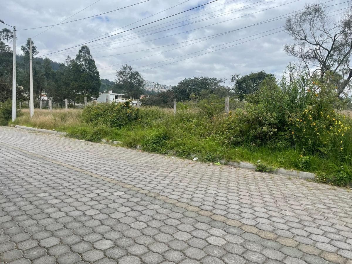 Venta Terreno de 6.523 m² en Nayón — imagen 4