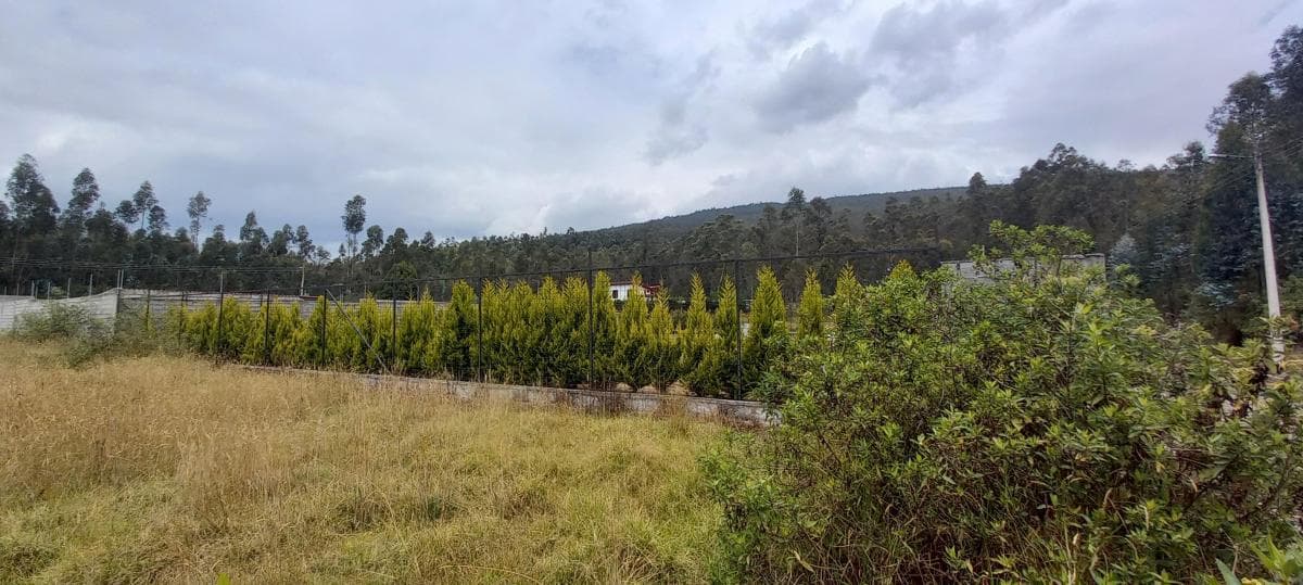 Hermoso Terreno 1.000 m² - Urb. Privada - La Salle - Conocoto — imagen 3