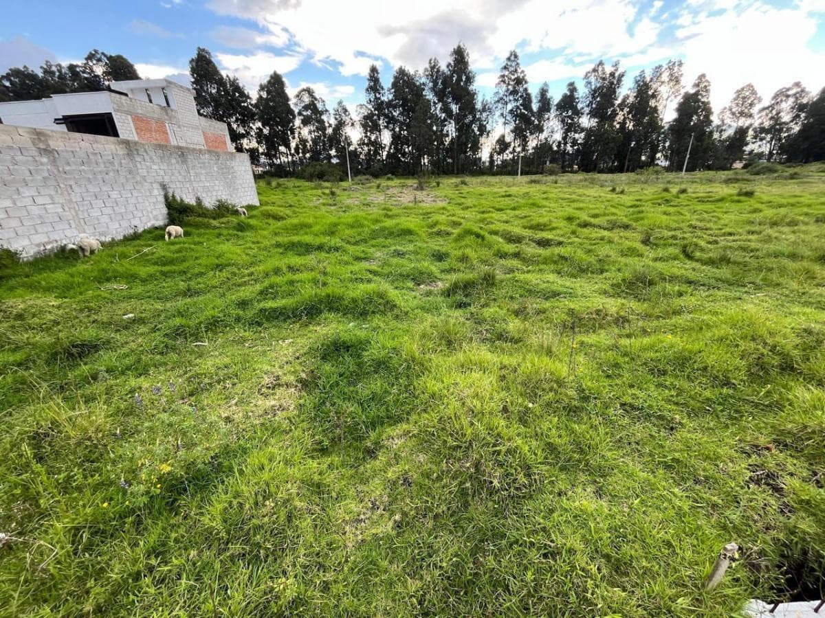 Se Vende Lote de 200 m en El Sector de La Salle, en Conocoto — imagen 8