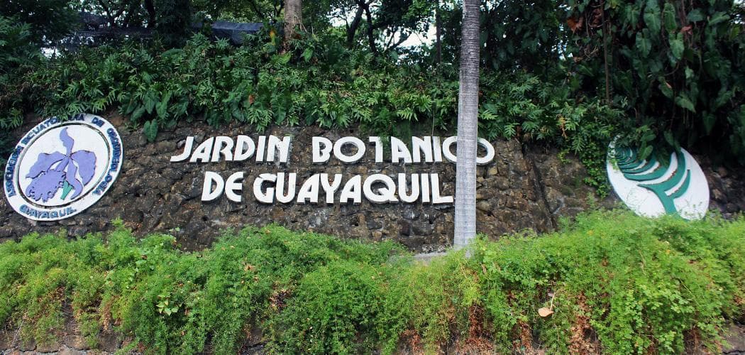 Terreno en Venta, Vergeles, Salida Al Río Anda, Guayas — imagen 2