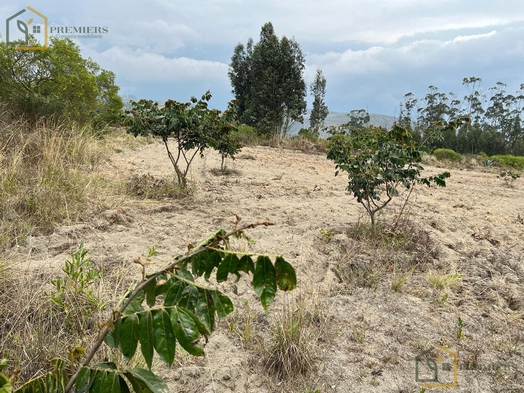 Terreno Para Quintas — imagen 5