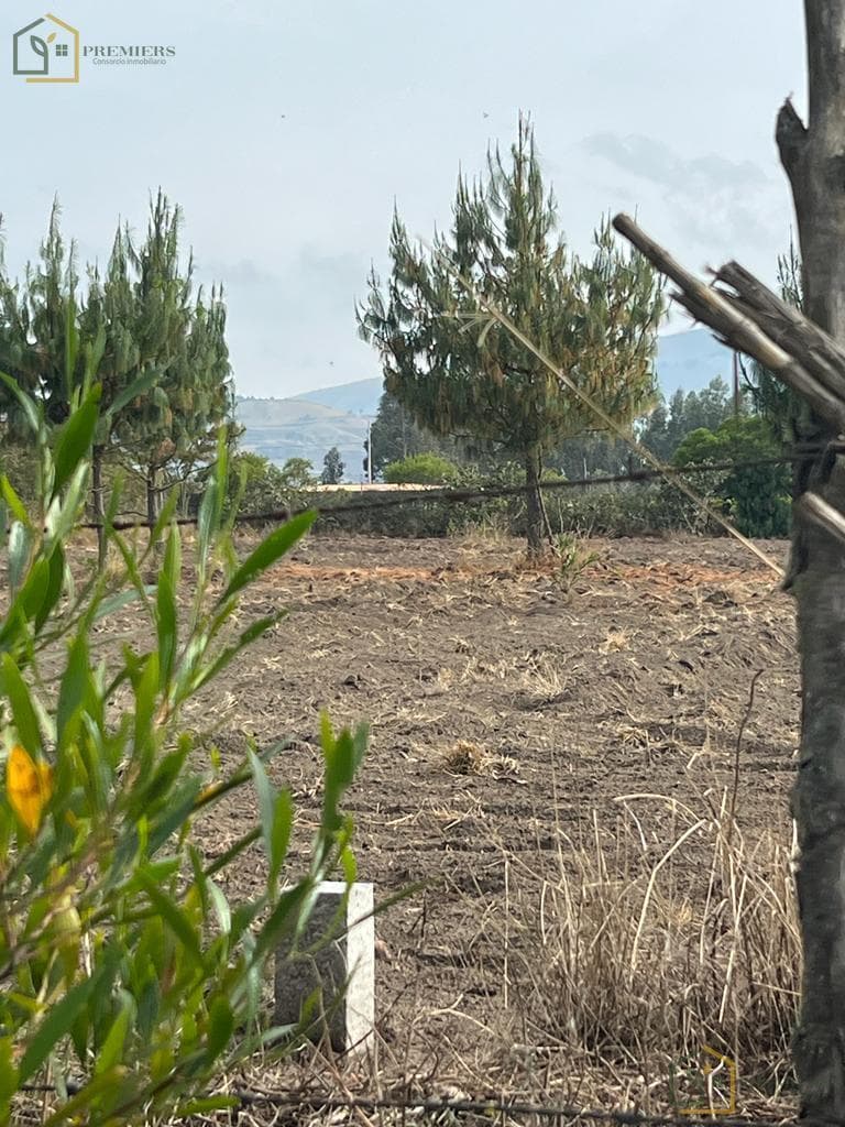 Terreno Para Quintas — imagen 4