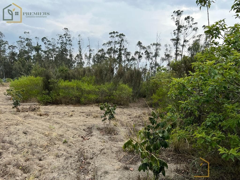 Terreno Para Quintas — imagen 3
