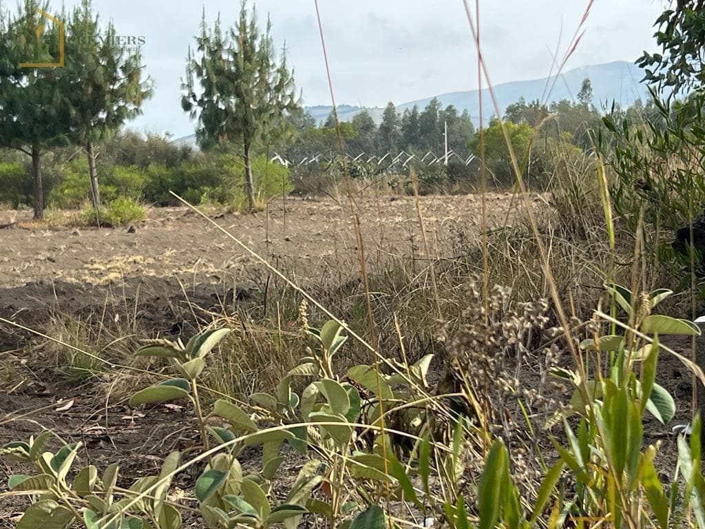 Terreno Para Quintas — imagen 2