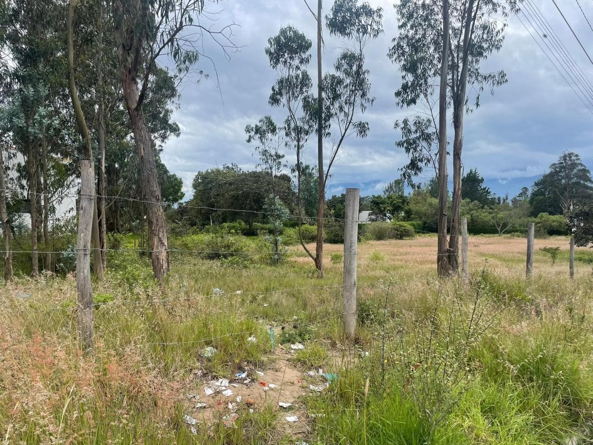 Venta Terreno de 3.999 m² en Nayón — imagen 10
