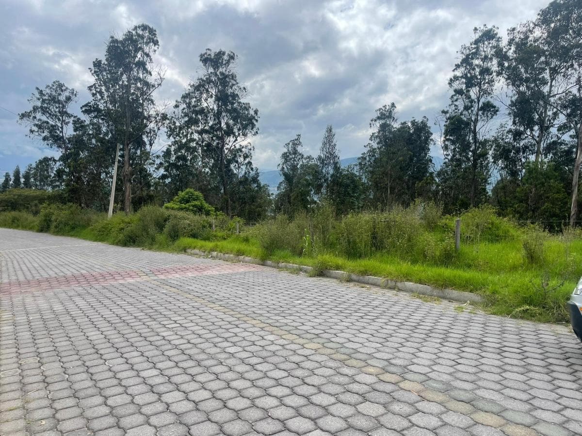 Venta Terreno de 3.999 m² en Nayón — imagen 9