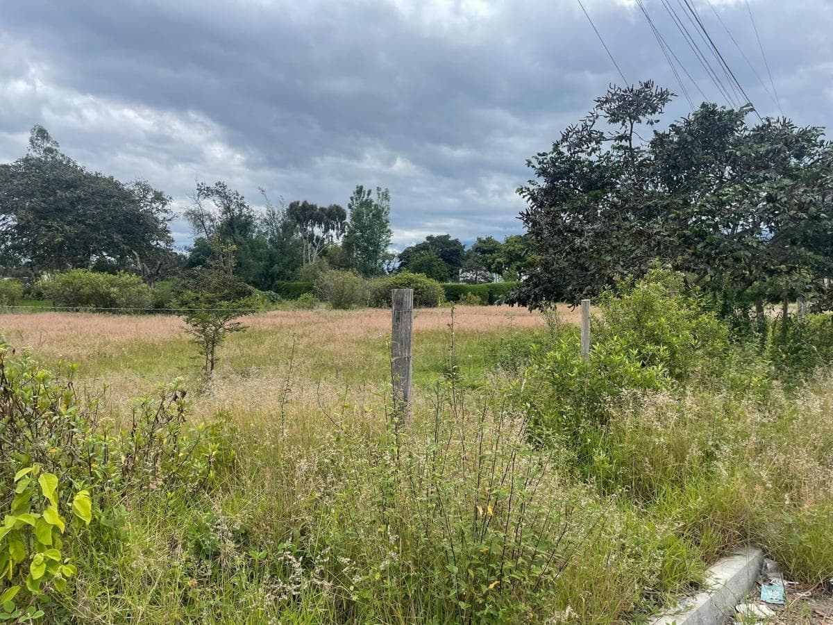 Venta Terreno de 3.999 m² en Nayón — imagen 7
