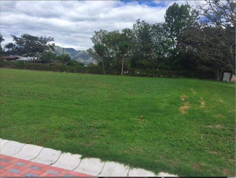 Puembo, Lotización de Venta - 5 Lotes Disponibles — imagen 9