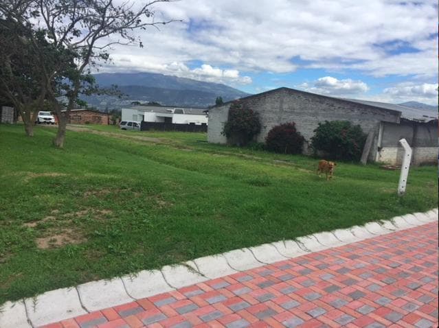 Puembo, Lotización de Venta - 5 Lotes Disponibles — imagen 8