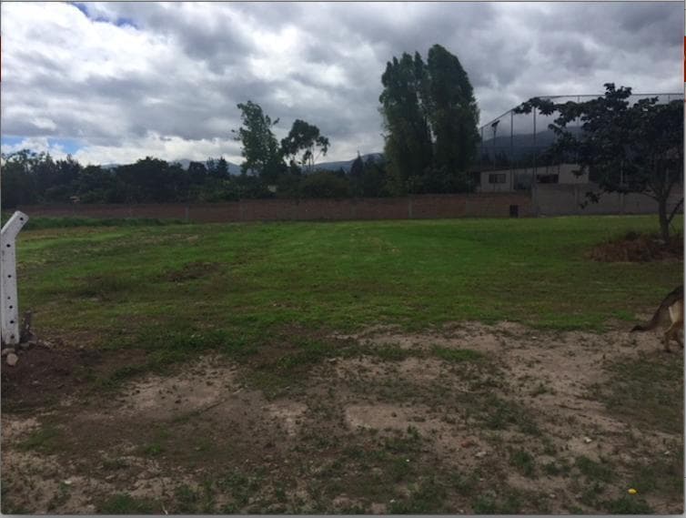 Puembo, Lotización de Venta - 5 Lotes Disponibles — imagen 5