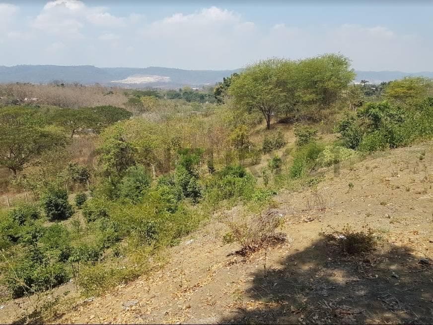 Vendo Terreno 4,320 m² Vía a La Costa Lotización Tiffany 42 m Frente Pcas, Guayas — imagen 5