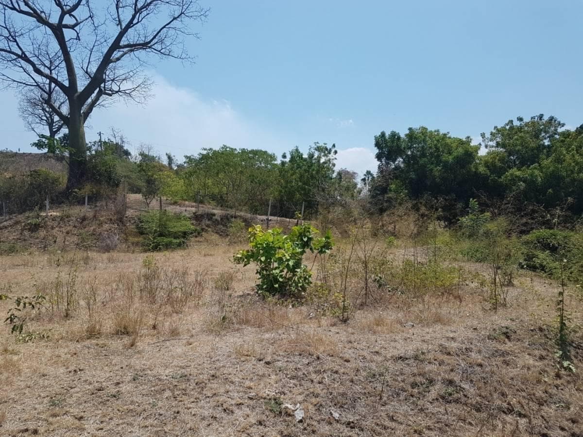 Vendo Terreno 4,320 m² Vía a La Costa Lotización Tiffany 42 m Frente Pcas, Guayas — imagen 4