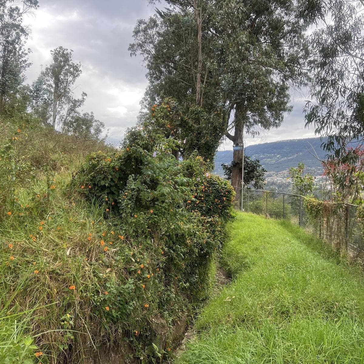 Tumbaco Terreno de Venta Via Intervalles — imagen 1