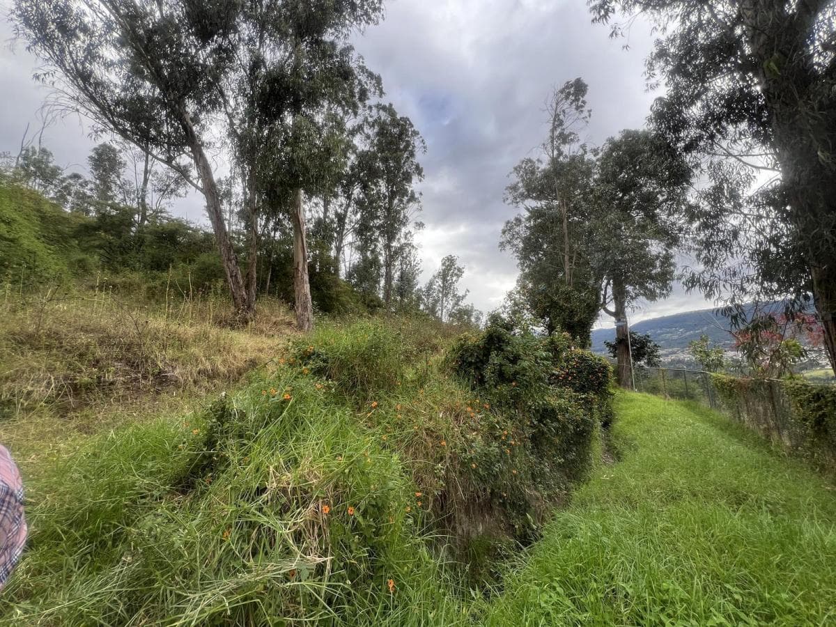 Tumbaco Terreno de Venta Via Intervalles — imagen 8
