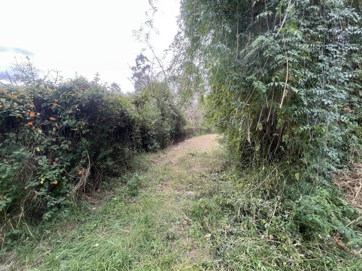 Tumbaco Terreno de Venta Via Intervalles — imagen 7