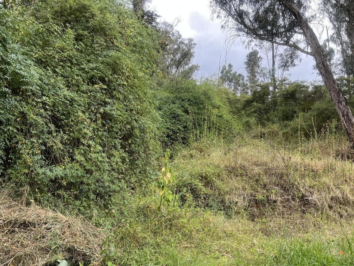 Tumbaco Terreno de Venta Via Intervalles — imagen 3