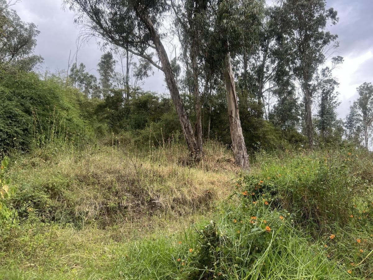 Tumbaco Terreno de Venta Via Intervalles — imagen 2