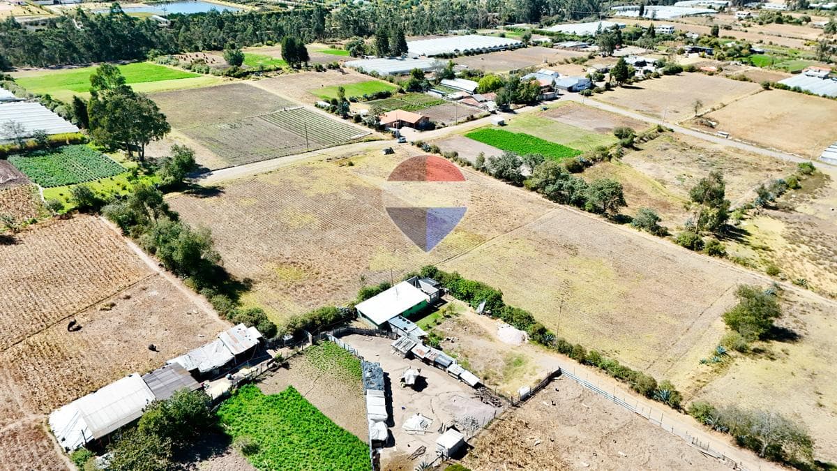Terreno en Venta 10.555 m² en Tabacundo – Sector La Esperanza — imagen 5
