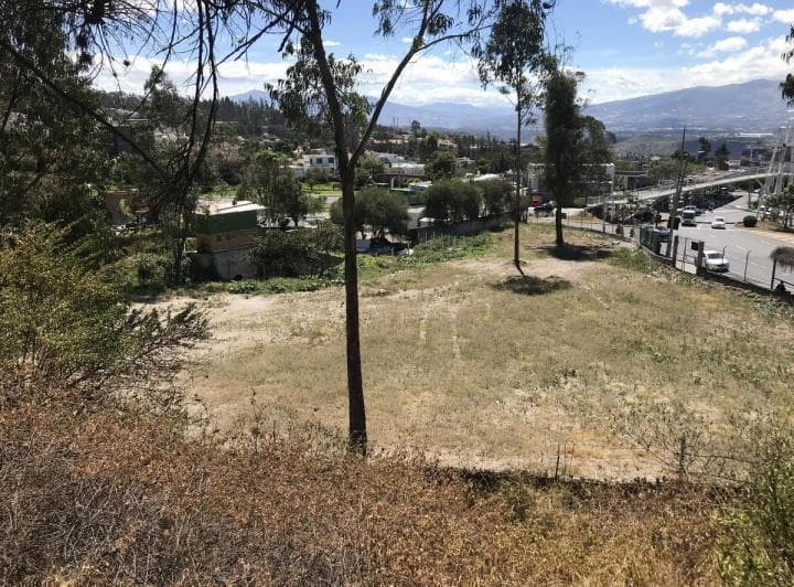 Venta Terreno de 27.000 m² en Sector Miravalle — imagen 9
