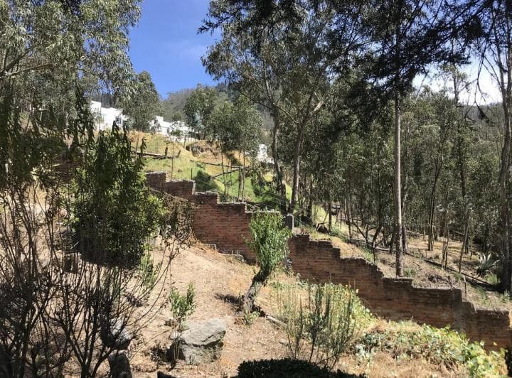 Venta Terreno de 27.000 m² en Sector Miravalle — imagen 8
