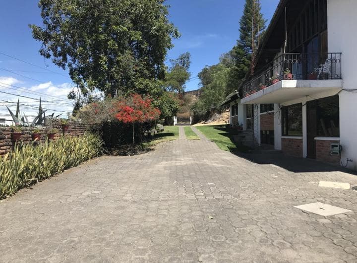Venta Terreno de 27.000 m² en Sector Miravalle — imagen 5