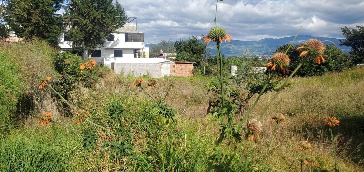 Venta Lindo Terreno 1086 m² Sector Santa Inés - Cumbayá — imagen 5