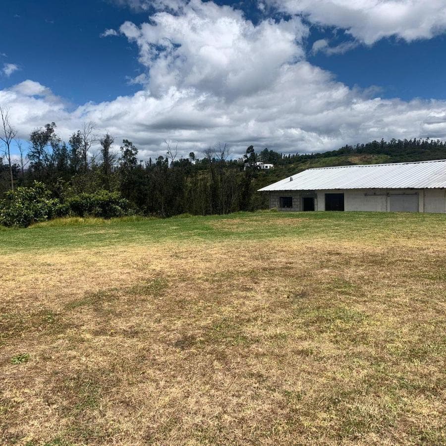 Pifo Venta Terreno en 2500 m² con Galpón 300 m — imagen 1