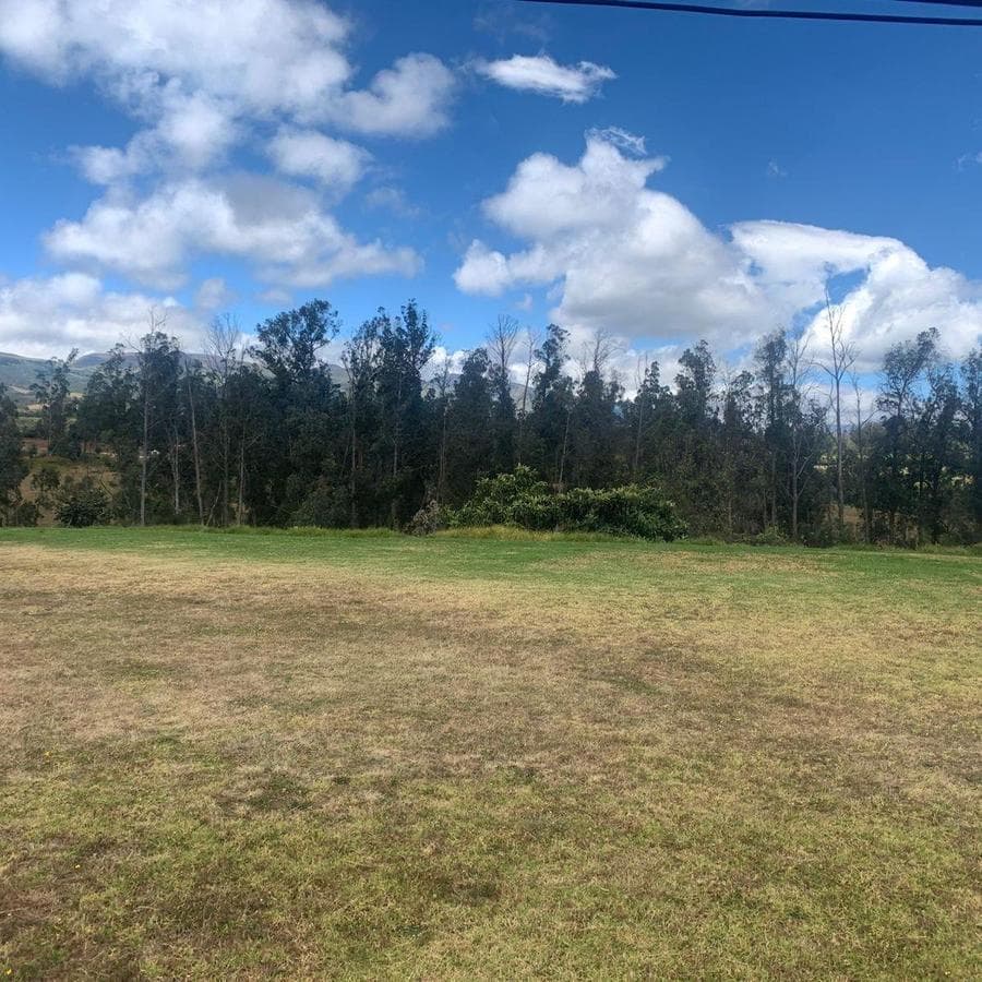 Pifo Venta Terreno en 2500 m² con Galpón 300 m — imagen 7