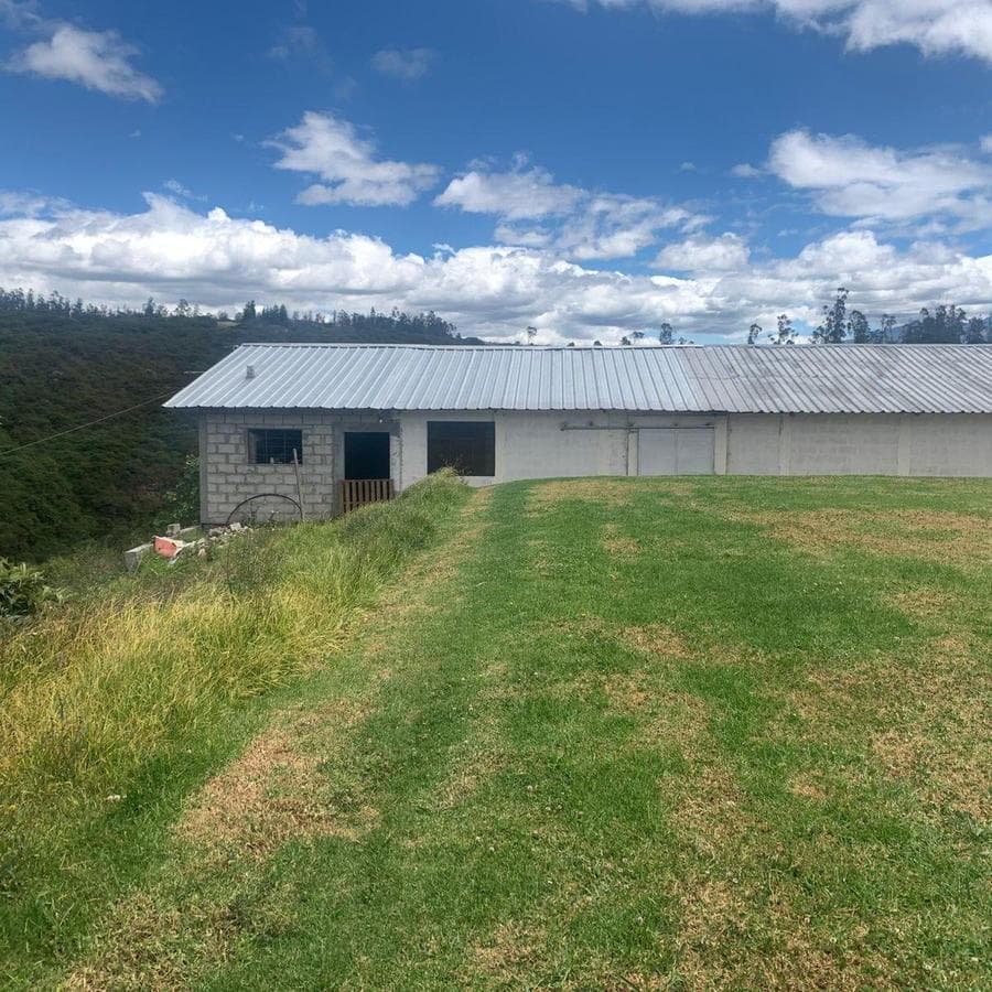 Pifo Venta Terreno en 2500 m² con Galpón 300 m — imagen 5
