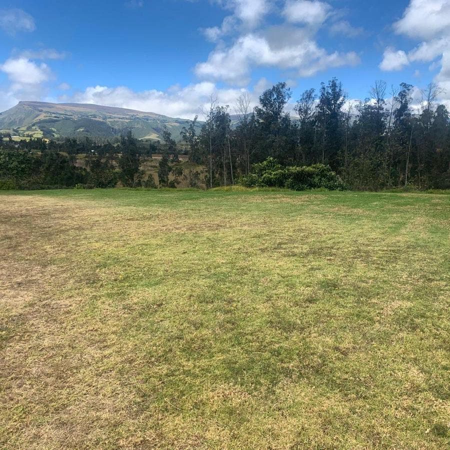 Pifo Venta Terreno en 2500 m² con Galpón 300 m — imagen 2